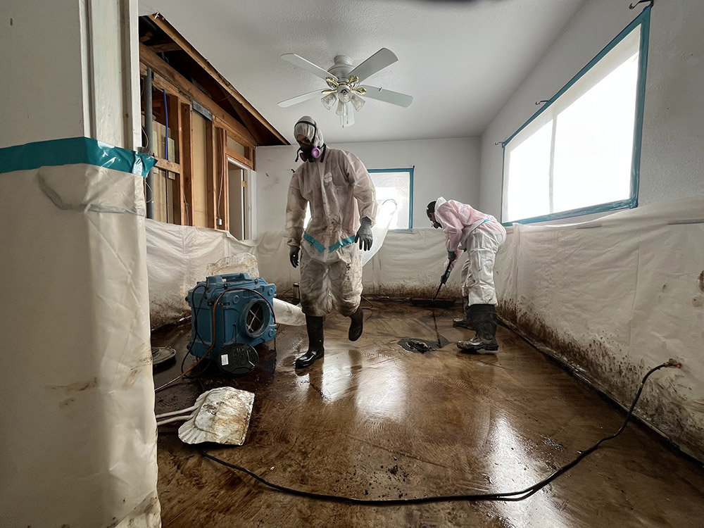 Asbestos Removal Company in Safford, AZ - Disaster Masters Restoration
