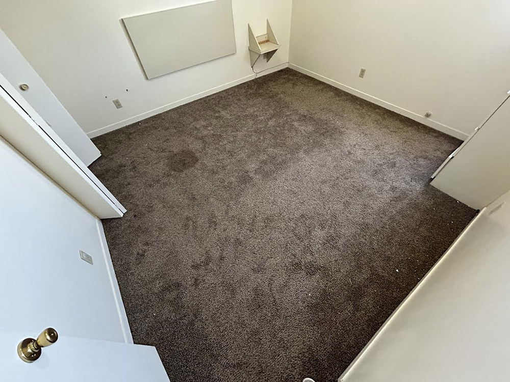 Carpet Cleaning services Safford, AZ - Disaster Masters Restoration