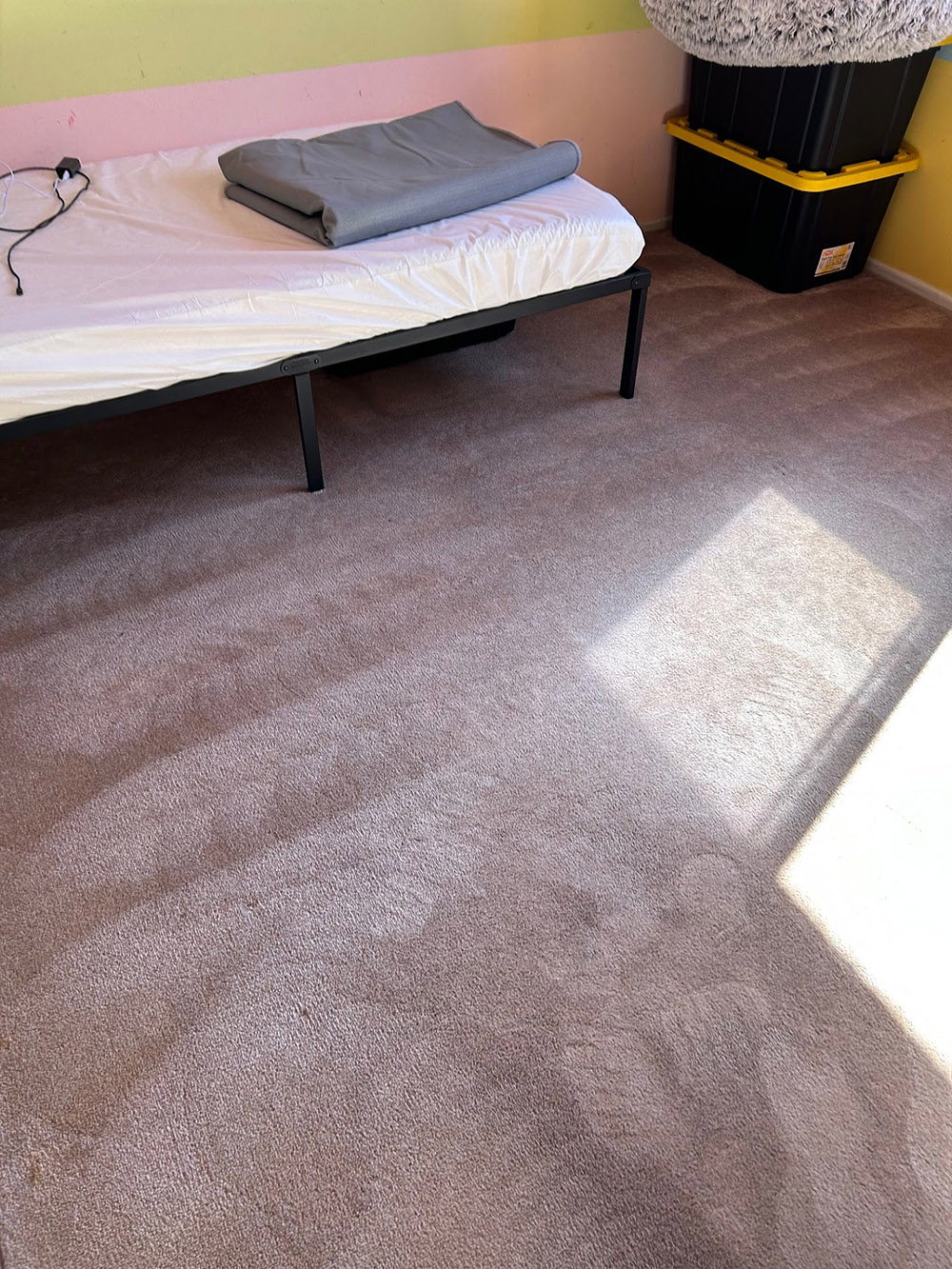 Carpet, Tile, Upholstery & Grout Cleaning services Safford, AZ - Disaster Masters Restoration