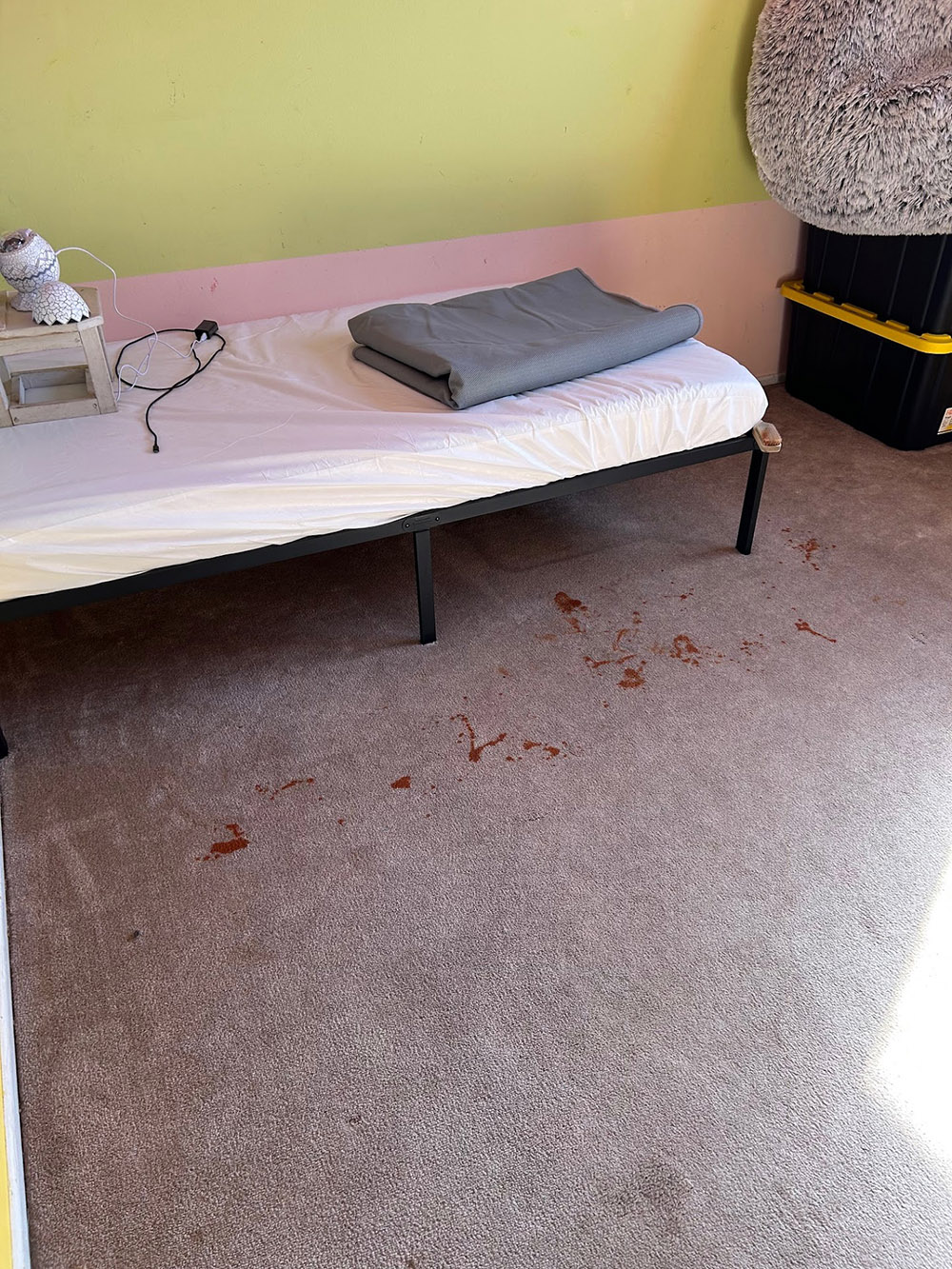 Carpet, Tile, Upholstery & Grout Cleaning services Safford, AZ - Disaster Masters Restoration