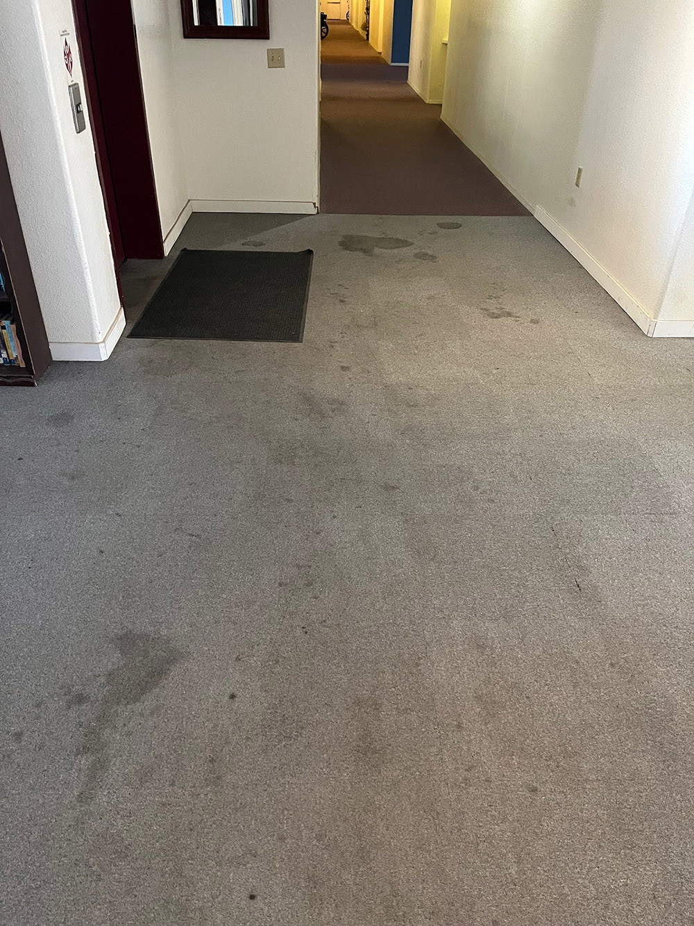 Carpet, Tile, Upholstery & Grout Cleaning services Safford, AZ - Disaster Masters Restoration