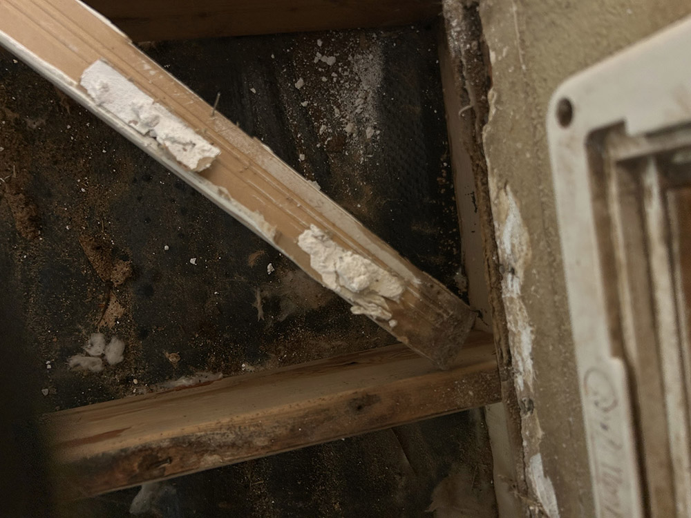 Mold Removal Cleanup Company in Safford, AZ - Disaster Masters Restoration