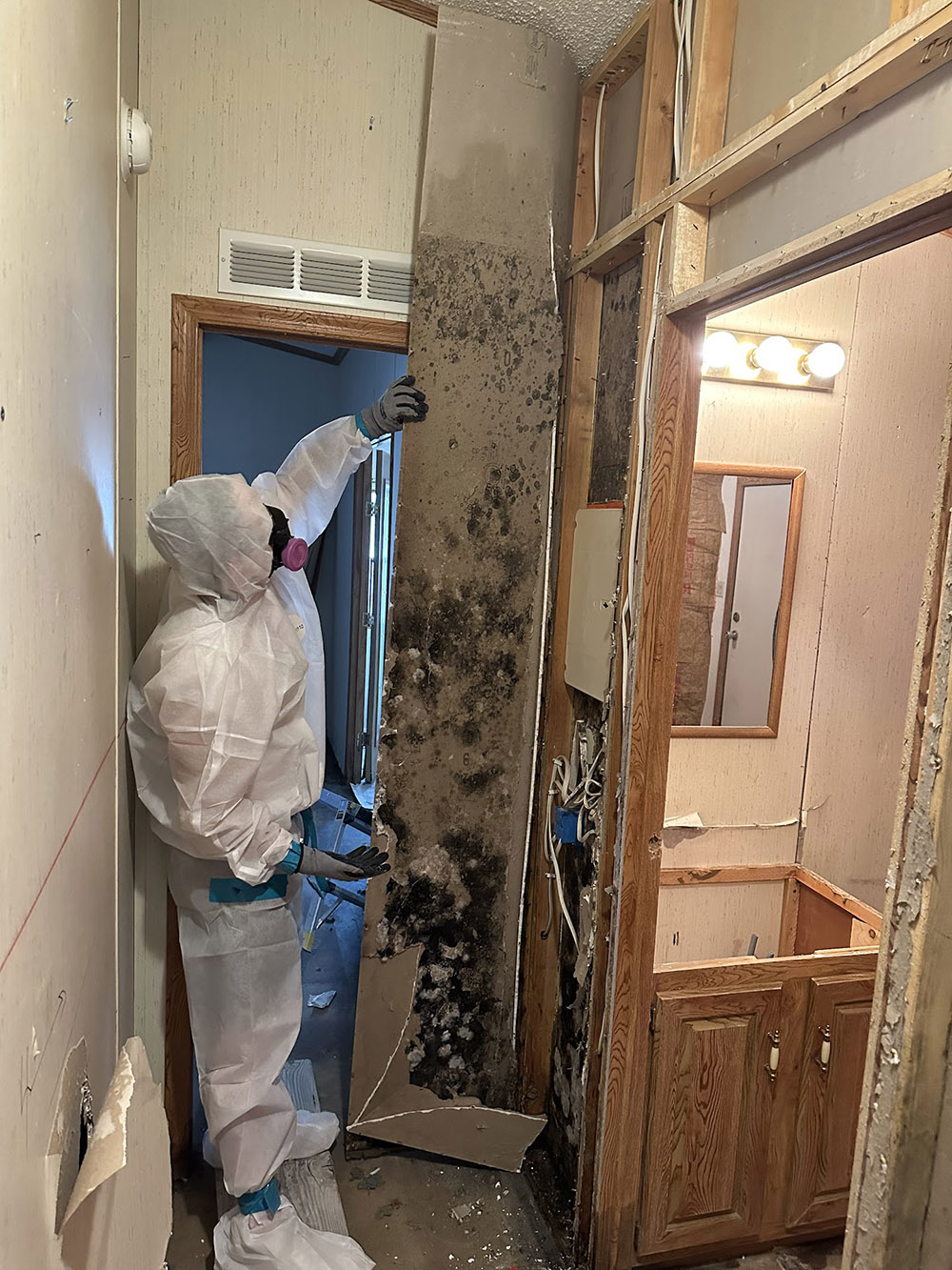 Mold Removal Cleanup Company in Safford, AZ - Disaster Masters Restoration