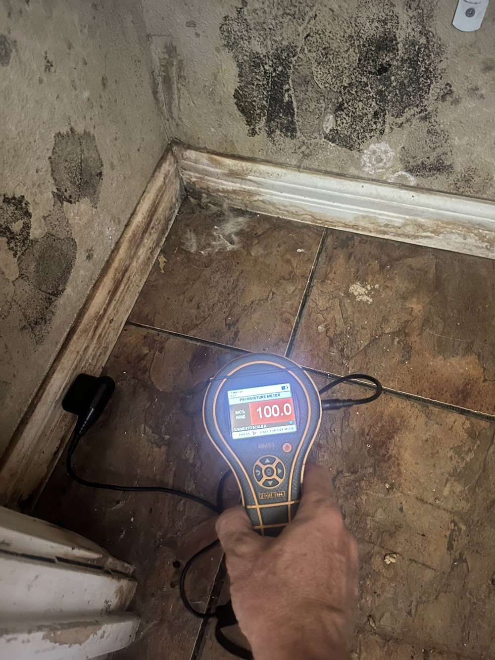 Mold Removal Cleanup Company in Safford, AZ - Disaster Masters Restoration