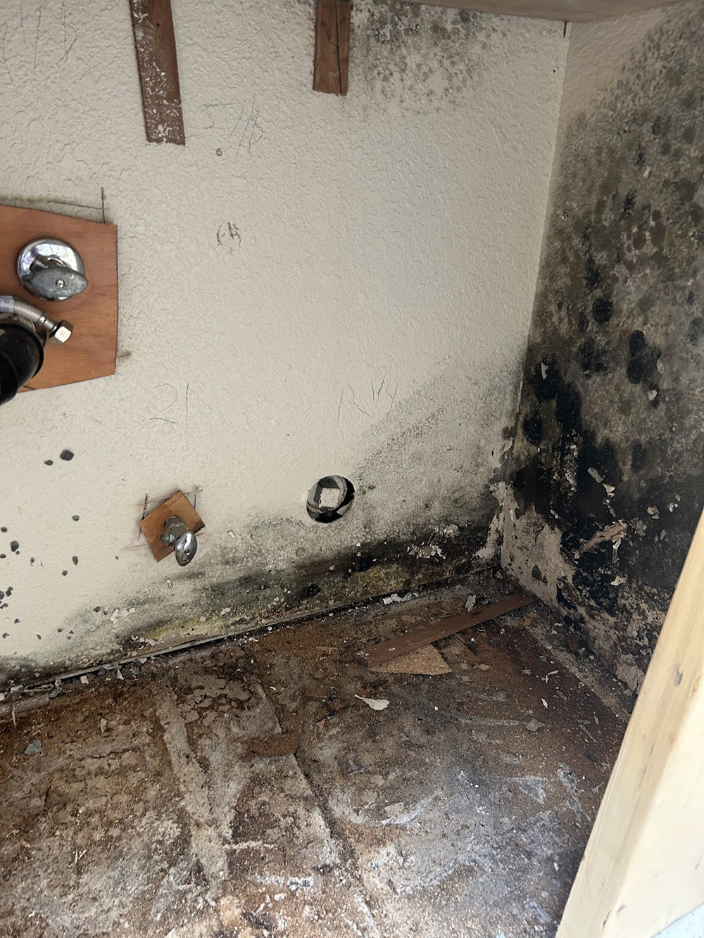 Mold Removal Cleanup Company in Safford, AZ - Disaster Masters Restoration