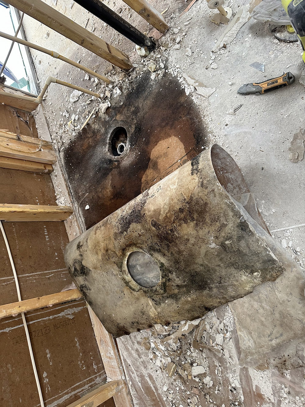 Mold Removal Cleanup Company in Safford, AZ - Disaster Masters Restoration