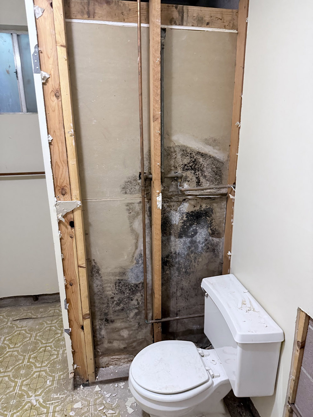 Mold Removal Cleanup Company in Safford, AZ - Disaster Masters Restoration