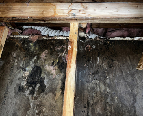 WATER DAMAGE CLEANUP COMPANY